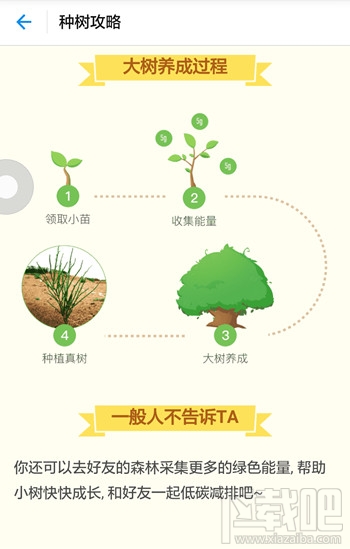 支付宝蚂蚁森林怎么收取别人的能量