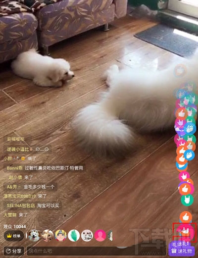 美拍直播app在哪点赞