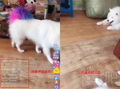 美拍直播怎么关弹幕？