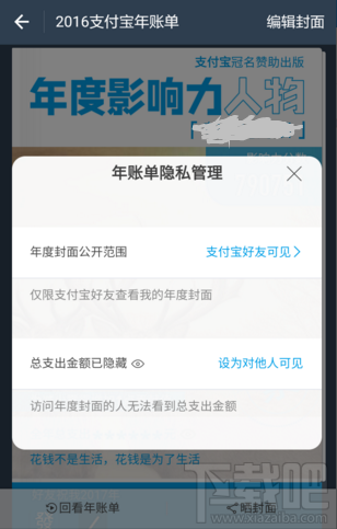 怎么让别人看到我的2016支付宝账单支出金额?