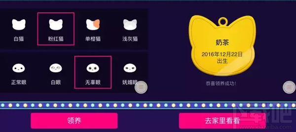 qq空间宠物在哪里？qq空间宠物是什么？
