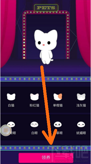QQ空间怎么领取宠物猫？QQ空间拥有自己的宠物猫方法