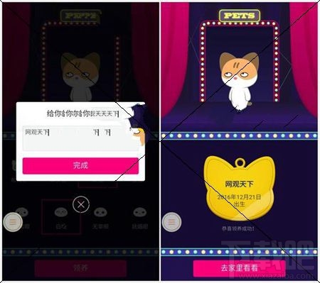 qq空间宠物怎么玩？新版qq空间宠物怎么领取？