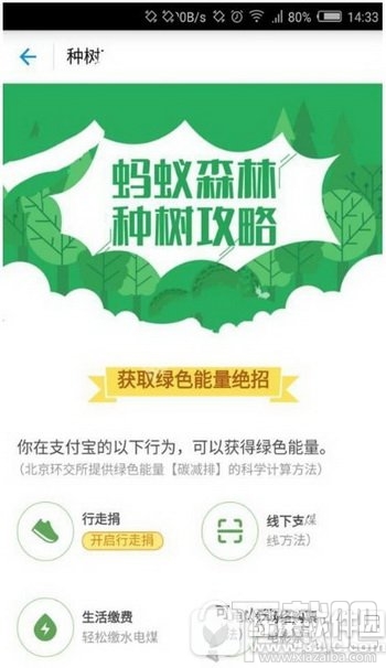 支付宝蚂蚁森林怎么获取绿色能量 蚂蚁森林抢能量技巧