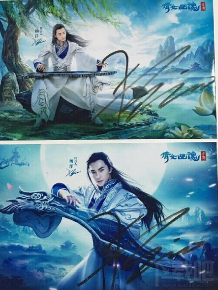 CC直播杨洋直播间ID多少 杨洋CC直播房间号