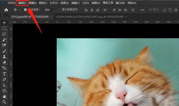 ps清理剪贴板技巧分享