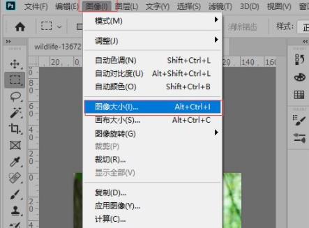 ps放大图片保持比例操作方法