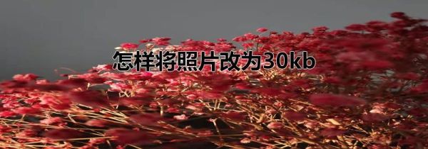 怎样将照片改为30kb