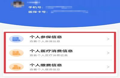 怎么查询自己交了几险