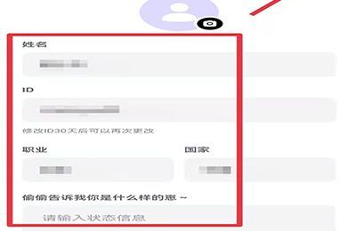 崽崽新手怎么设置ID