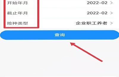 个人保险怎么查