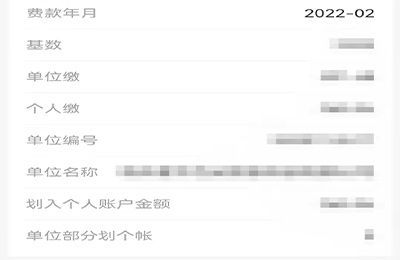 个人保险怎么查