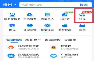 个人保险怎么查