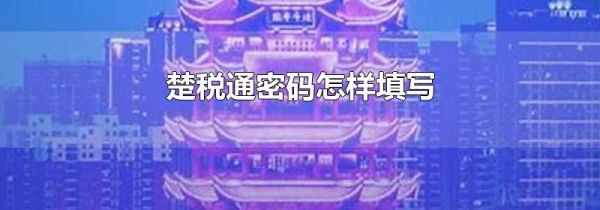楚税通密码怎样填写