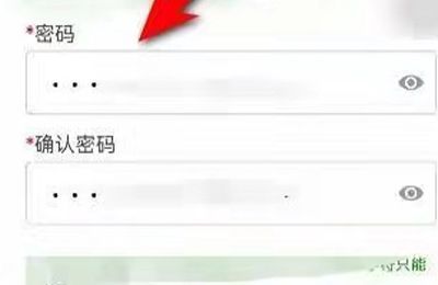 楚税通密码怎样填写