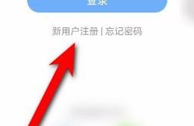 楚税通密码怎样填写