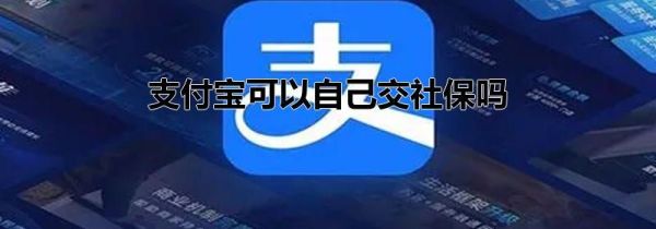 支付宝可以自己交社保吗
