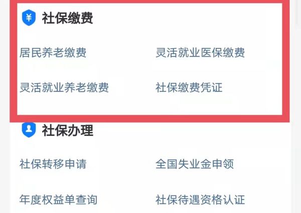 支付宝可以自己交社保吗