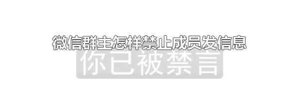 微信群主怎样禁止成员发信息