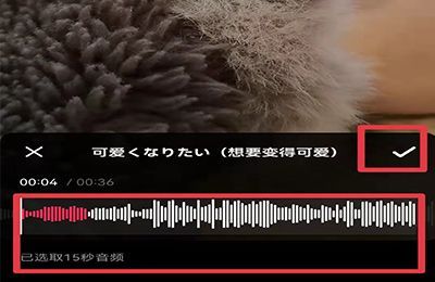 抖音怎么剪辑多余的音乐