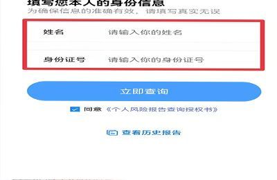 个人征信怎么打
