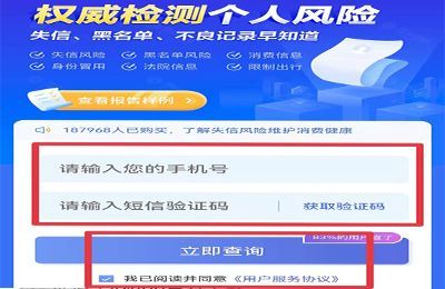 个人征信怎么打