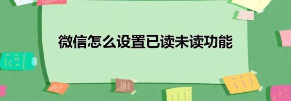 微信怎么设置已读未读功能
