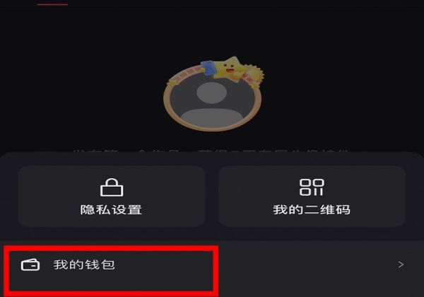 快手锦鲤红包在哪才能找到