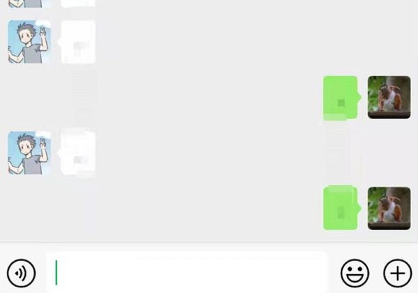 微信如何拍了拍对方