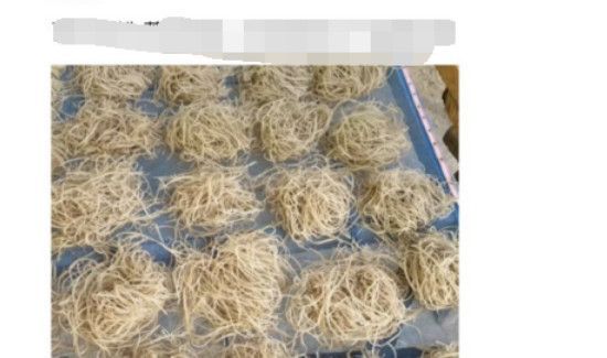 咸鱼怎么搜索卖家名字