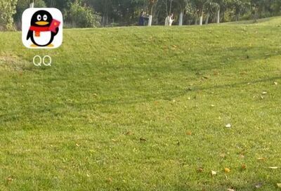 怎样在QQ群中设置聊天机器人