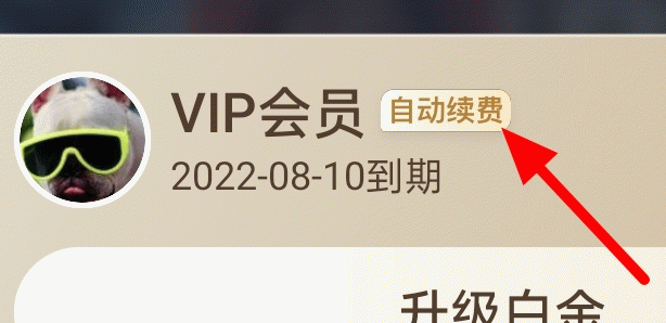 爱奇艺会员连续包月可以随时取消吗