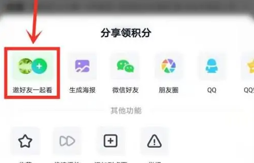 爱奇艺会员可以两个人一起同步看吗