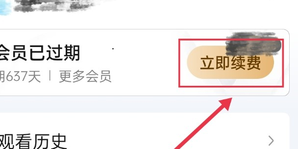 爱奇艺会员可以微信支付吗