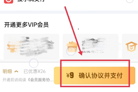 爱奇艺会员可以微信支付吗