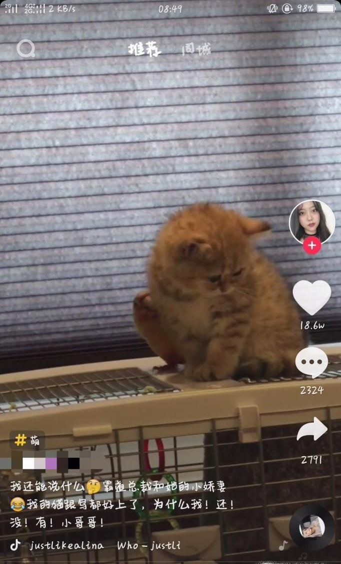 抖音如何与别人合拍