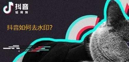 抖音短视频快速去水印保存方法