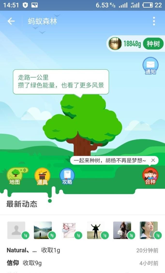 支付宝蚂蚁森林爱情树如何合种