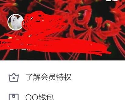 如何删除QQ照片墙里的照片