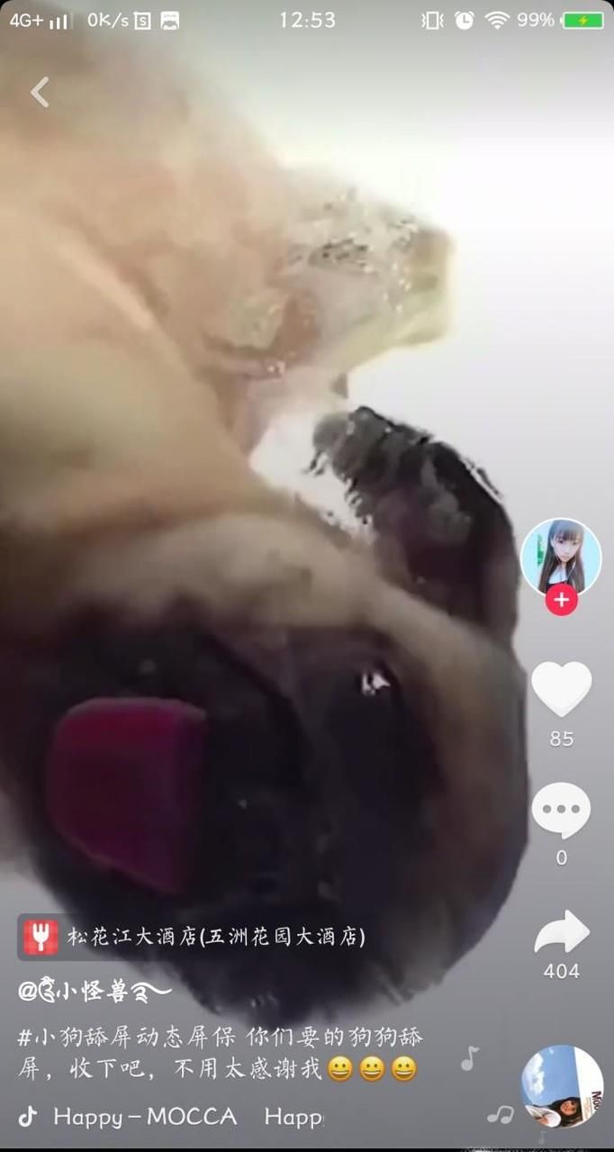 ​抖音上小狗舔屏壁纸设置攻略小狗舔屏动态壁纸