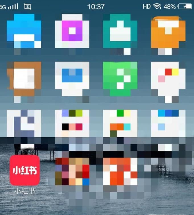 小红书如何查看自己的订单