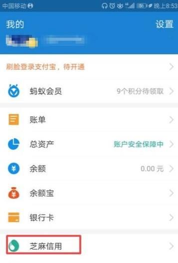 支付宝怎样开通花呗
