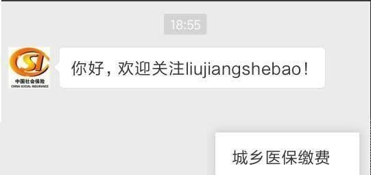 微信怎么给新农合缴费