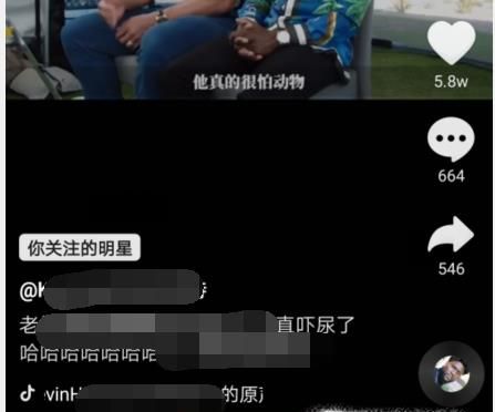 抖音影集在哪?抖音怎么找不到影集?