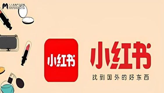 小红书个人信息清单怎么查阅