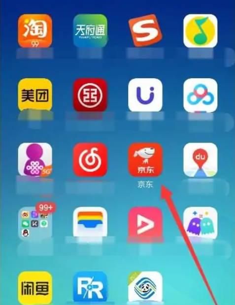 京东如何查看自己的白条额度