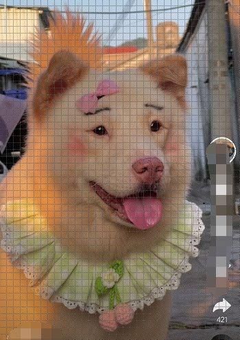 抖音ai绘画视频怎么拍摄