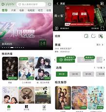 壹影视app如何观看视频