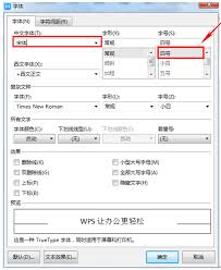 WPS怎么查看字体样式